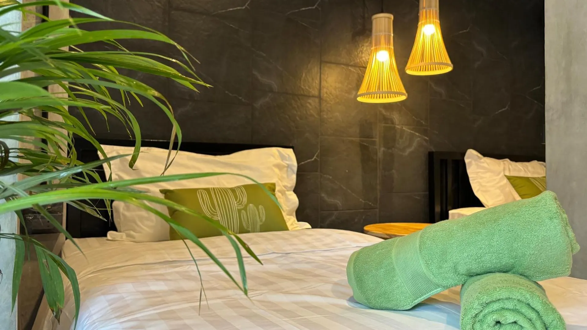 Cactus Boutique Hostel Koh Tao Thailand