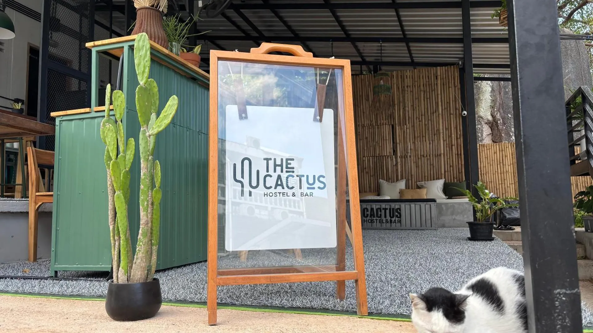 Cactus Boutique Hostel Koh Tao 0*,