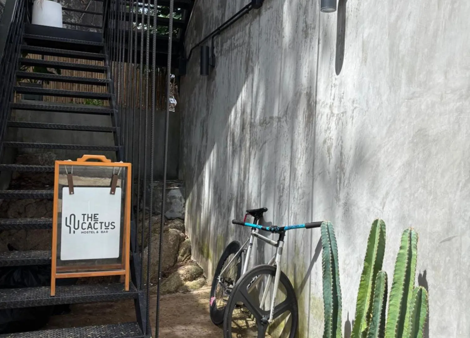 Cactus Boutique Hostel Koh Tao Thailand