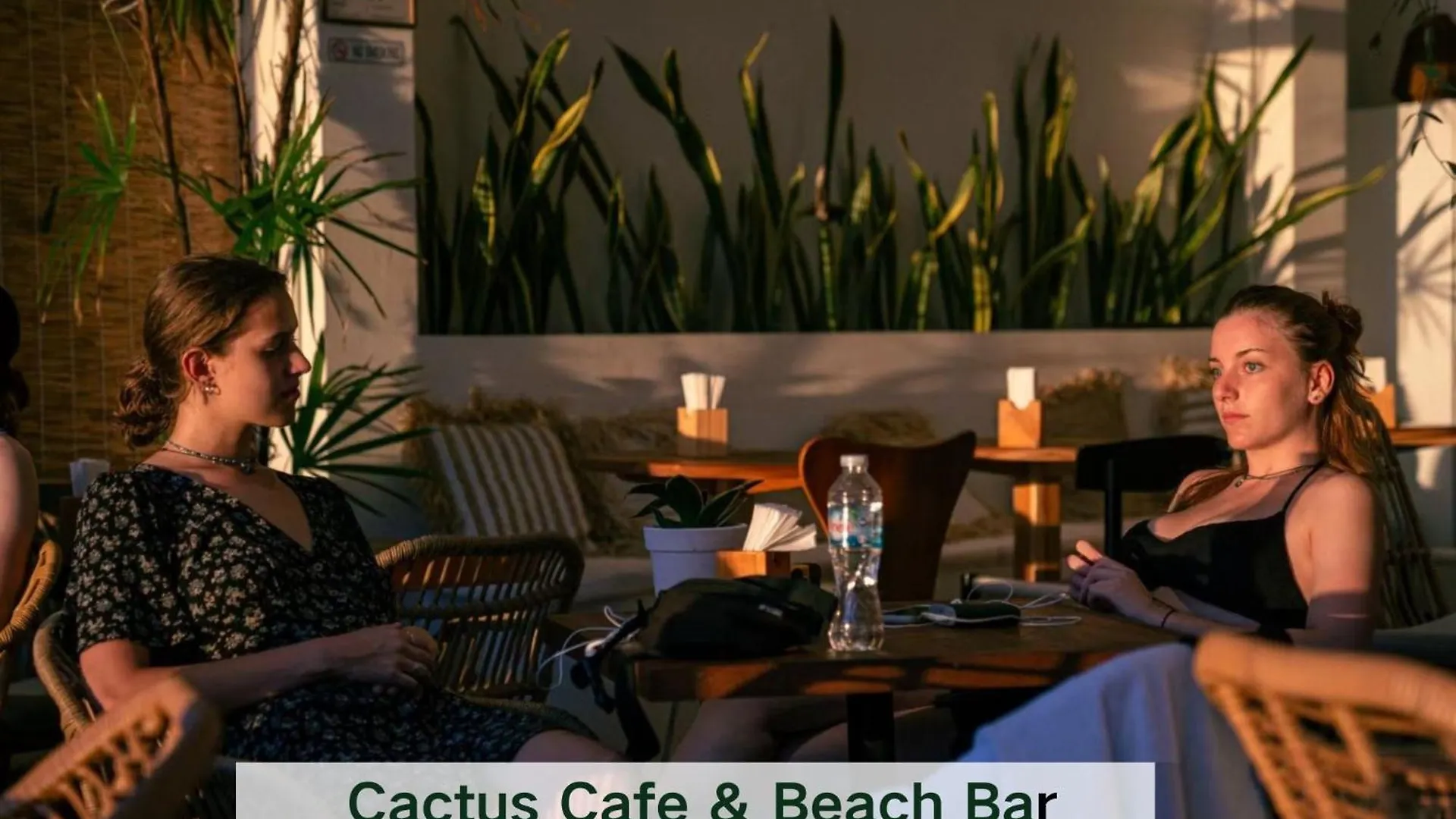 Cactus Boutique Hostel Koh Tao